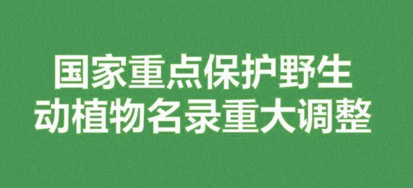 重磅！新版國(guó)家重點(diǎn)保護(hù)野生植物名錄公布，58種/屬列入一級(jí)保護(hù)，值得收藏