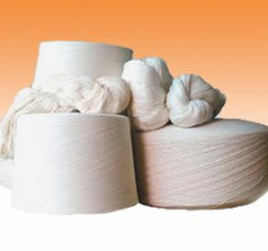 核心產(chǎn)業(yè)